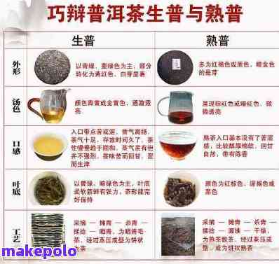 回很快的普洱茶：何种茶类与类型？