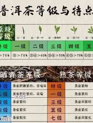 聘号普洱茶精选集：一款年份、工艺与口感并存的优质茶叶产品目录