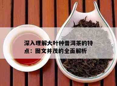 普尔茶系列：全面了解出名的品种及其特点