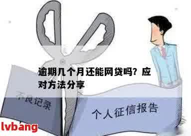 网贷逾期前如何做好准备：全面解决用户搜索的相关问题