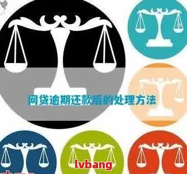 网贷逾期前如何做好准备：全面解决用户搜索的相关问题