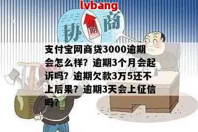 网商贷逾期3000元,给会网商贷逾期3000元给会诰-网商贷逾期3万会不会被起诉