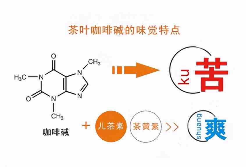 普尔茶的全方位健效益：咖啡碱、脂肪和茶叶中的独特物质解析