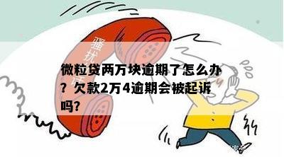 微粒贷欠款2万4逾期会被起诉吗？怎么办？