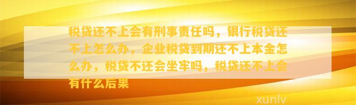 税贷还不上会有刑事责任吗？后果如何处理？