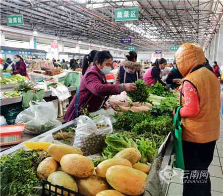 新白花树普洱茶品种、产地、年份、品质价格全方位解析