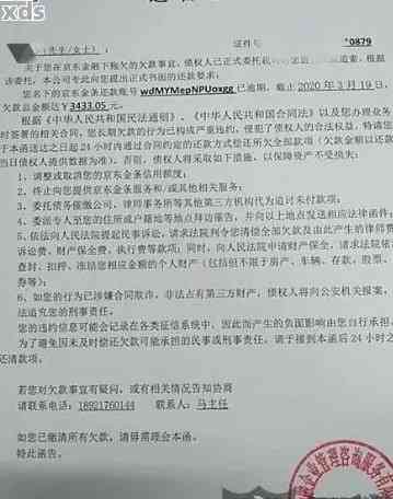 新美团外卖逾期未还款，法院传票递达到家，如何应对？