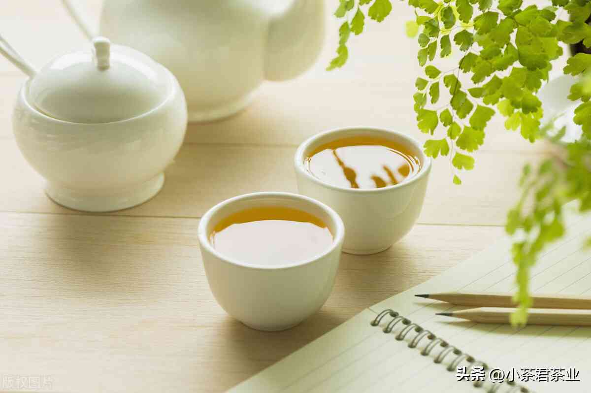 '生普洱是晒青绿茶吗？——探究普洱生茶和晒青绿茶的关系'