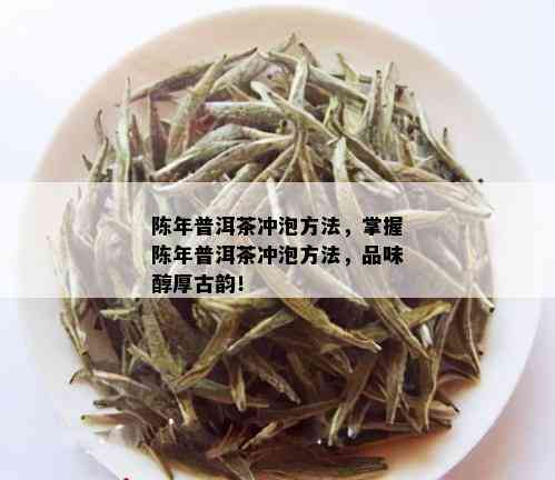 金芽普洱茶价格多少钱一克