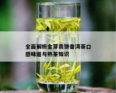 金芽普洱茶价格多少钱一克