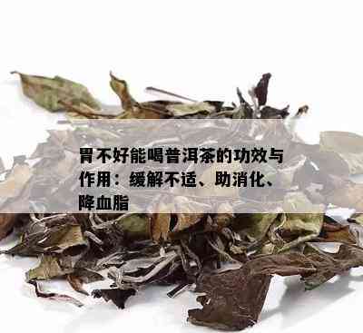 绿豆普洱茶的功效与作用：减肥、降血脂、抗氧化，但禁忌于孕妇和胃寒者。