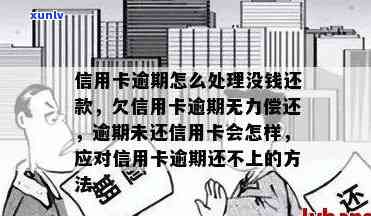 信用卡逾期一年的解决策略：信用修复与恢复步骤详解