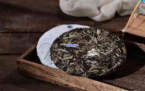 '用珍茗水泡冰岛普洱茶好吗？能喝吗？'