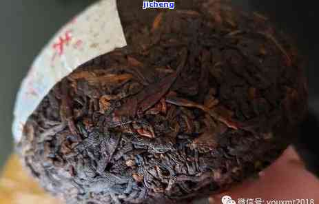 普洱茶中的茶虫现象：原因、影响及如何预防