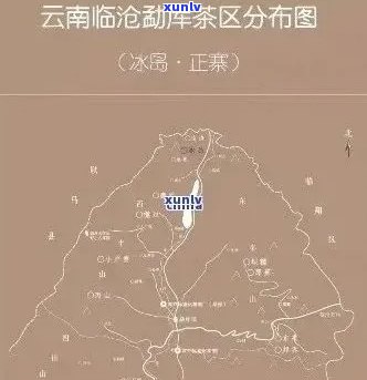 冰岛普洱茶的产地及特点：了解这个茶区的全貌