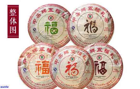 '07年中茶五福饼礼茶，中茶五福千两，2007年中茶五一经典'