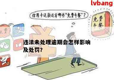 新 '年费逾期未支付会产生什么后果？如何正确处理以避免注销'