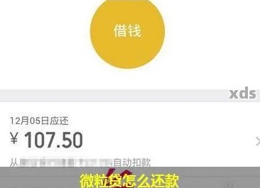 微粒贷还款过程中的预授权验证：如何操作与原因解析