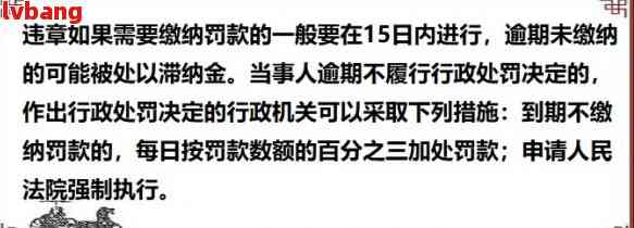 逾期未加以处罚的建议：如何改进和优化相关措？