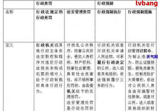 逾期未处罚：优化政策建议与实践探讨