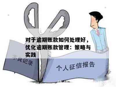 逾期未处罚：优化政策建议与实践探讨