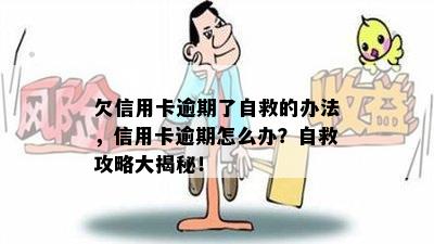 欠信用卡逾期了自救的办法：减免政策解读与实