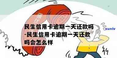 民生信用卡逾期两年多会怎么样：两年未还款后果及停卡时间解读