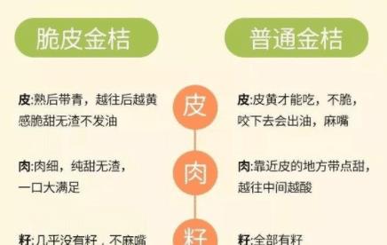 熟普加冰糖的好处与适用人群：一篇详尽的分析