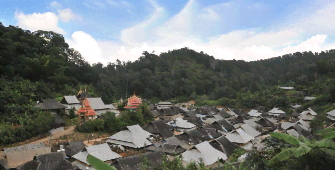 云南普洱茶培育基地地址