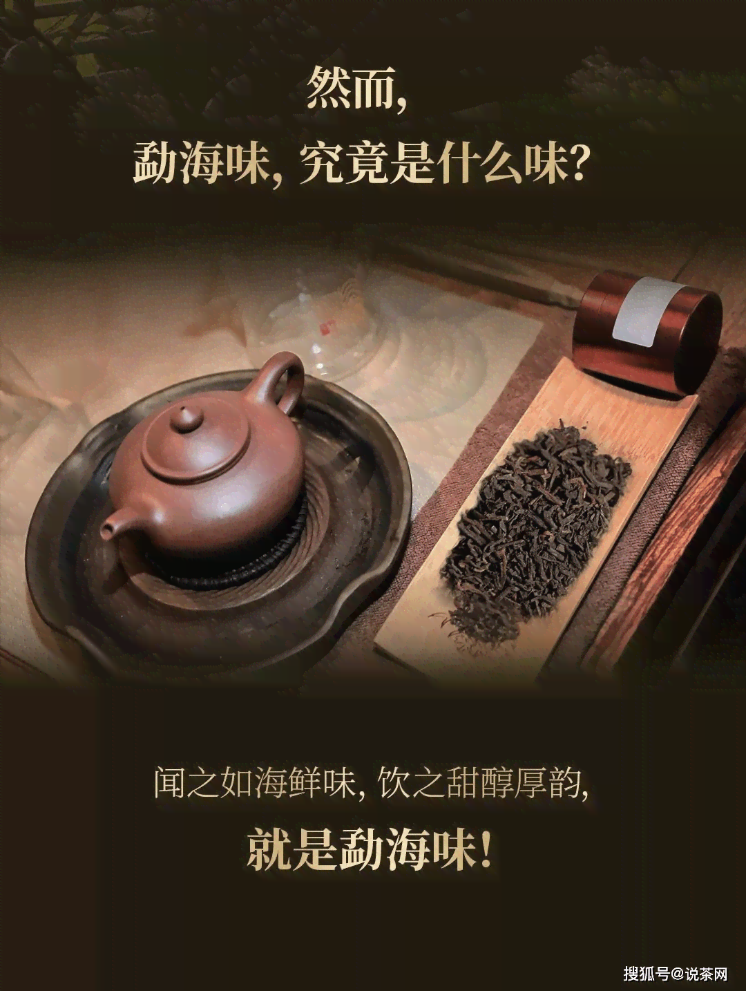 福茶厂：品质越，传承经典，全方位解答您的茶叶相关问题