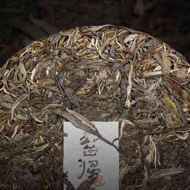 无量山普洱茶特点图片