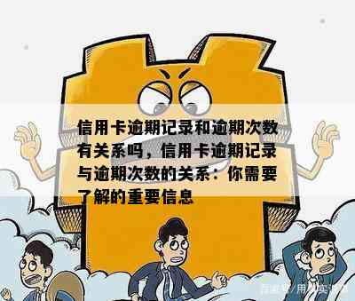 信用卡逾期期数与次数的区别解析：了解这两个概念的关键差异