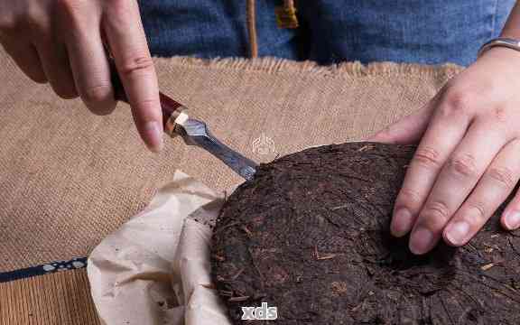 新 掌握这五个步骤轻松撬开普洱茶子的技巧