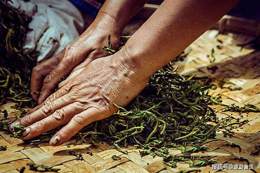 普洱茶揉捻后不成条状，原因及饮用方法解答：了解这些，让您喝得放心！