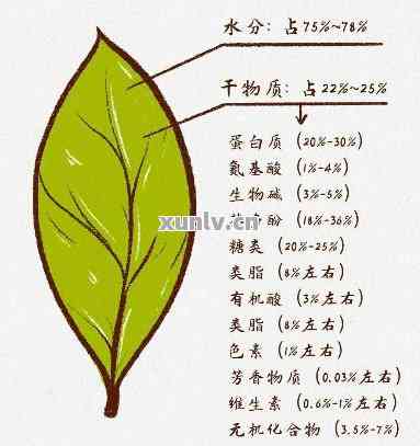 普洱茶的科学成分及其在健方面的多元效应