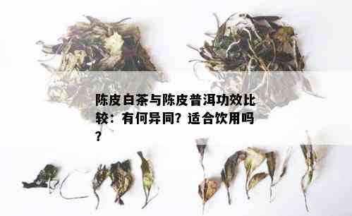 白茶与普洱：品味区别与独特功效