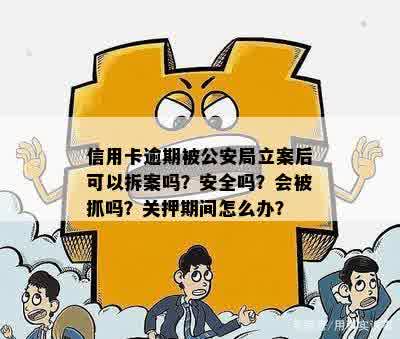 信用卡逾期后，公安机关立案所需的时间以及可能的后果全面解析