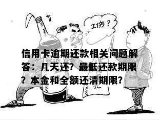 上期应还款额已还清，为何仍需支付本金？解答用户疑虑及相关问题