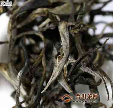 大户寨普洱茶特点：独特风味与产区特色解析