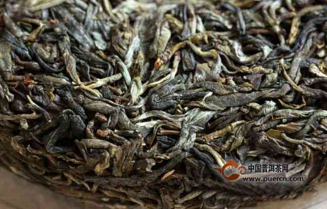 16年后的普洱茶是否仍可享用？了解其品质和陈化潜力