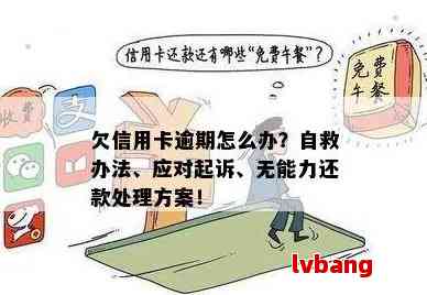 如何处理无法偿还便民卡欠款？相关问题解答一应俱全！