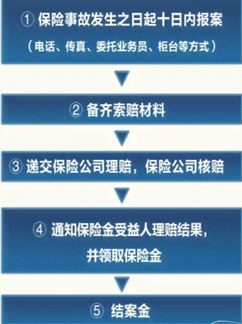 失效保单还款流程：如何办理？