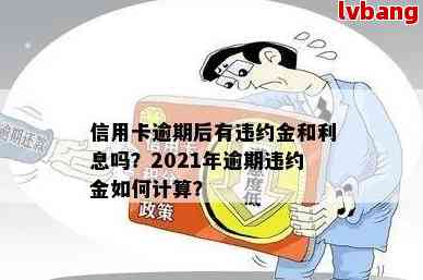 信用卡逾期违约金5块怎么算：2021年标准及计算方法