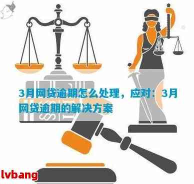 网贷第三方还款怎么还的疑问解答：多、少、操作指南