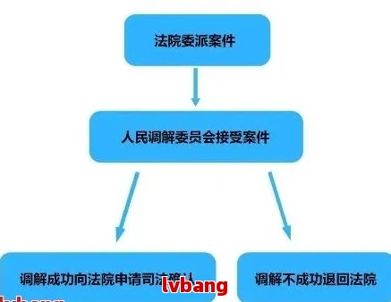 全面解决用户疑问：网贷诉讼追缴流程、影响与应对策略