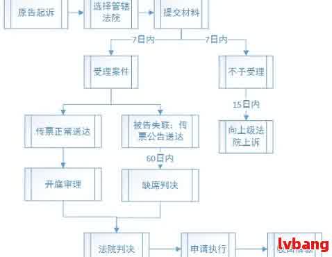 全面解决用户疑问：网贷诉讼追缴流程、影响与应对策略