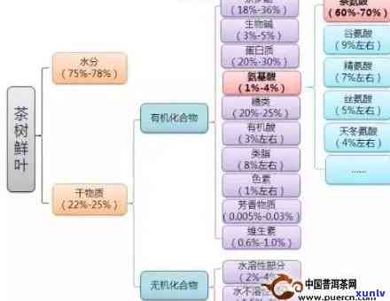 探究普洱茶苦味成分及其与品质的关系：原因、影响及解决策略