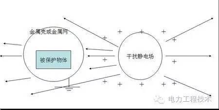 生普含水率国标：过高或过低的危害与解决方案