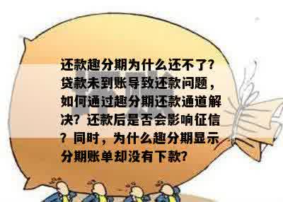 分期还款计划出现问题，我可以暂时不还款吗？