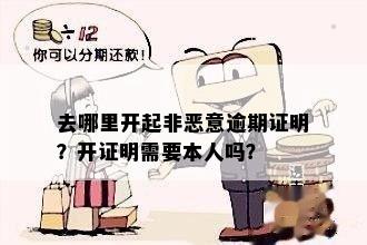 如何开具非恶意逾期证明？所需文件和流程详解